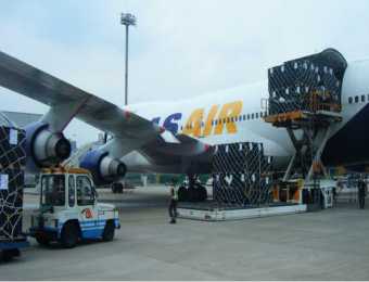Air Freight (Cargo & E-commerce)